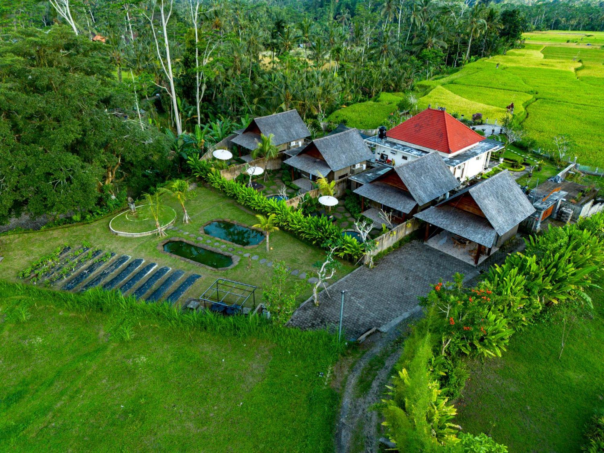 Tiare Ubud Tampaksiring